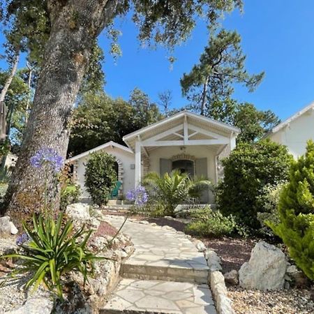 サン・ジョルジュ・ド・ディドンヌ Adorable Petite Maison A 400M De La Merヴィラ エクステリア 写真